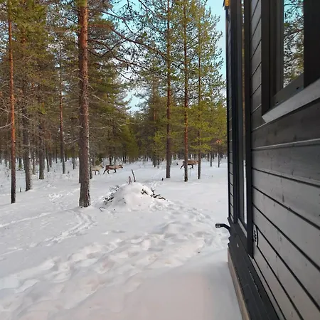Borealis Village 3 With A Nature View, Fireplace, Sauna, Kitchen * Muonio